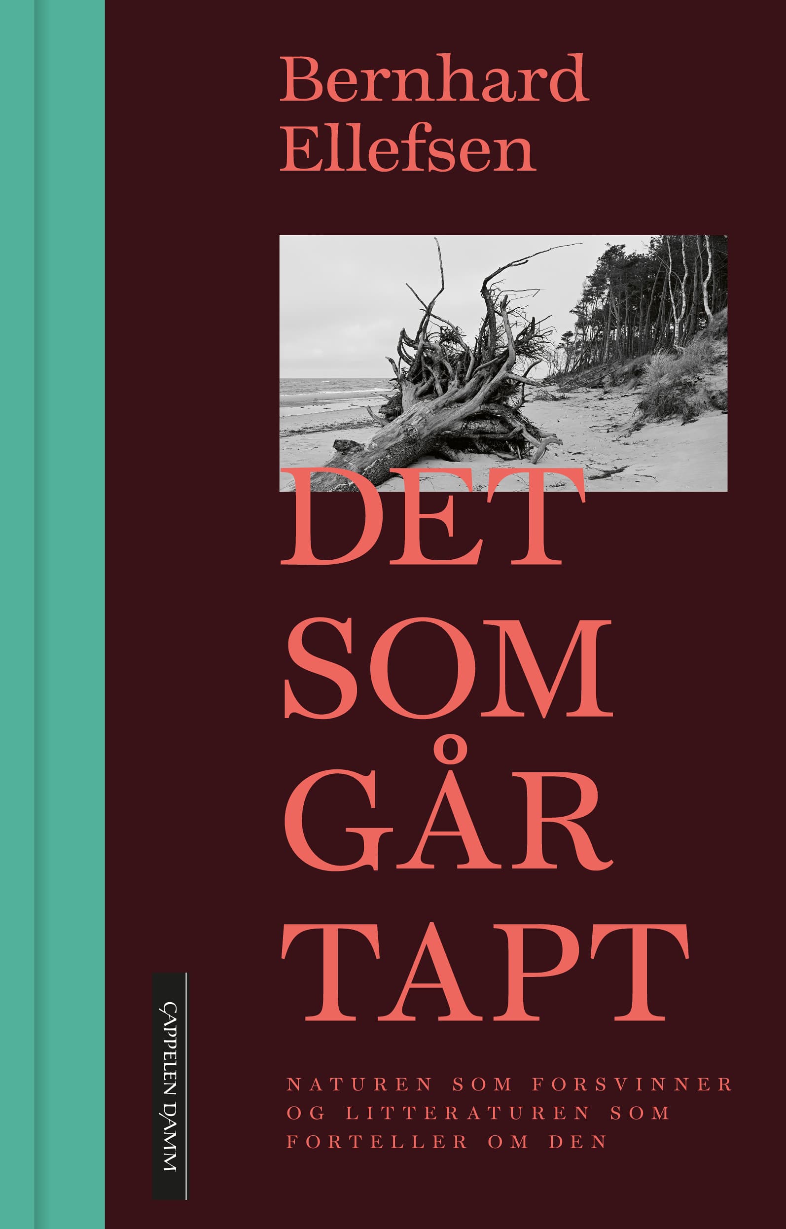 Omslag Det som går tapt av Bernhard Ellefsen (Ebok)