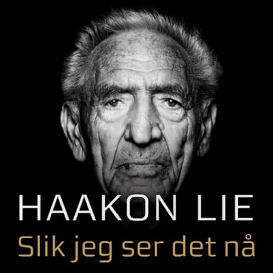 Slik jeg ser det nå