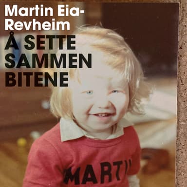 Å sette sammen bitene - Min historie om vold, skam og reparasjon