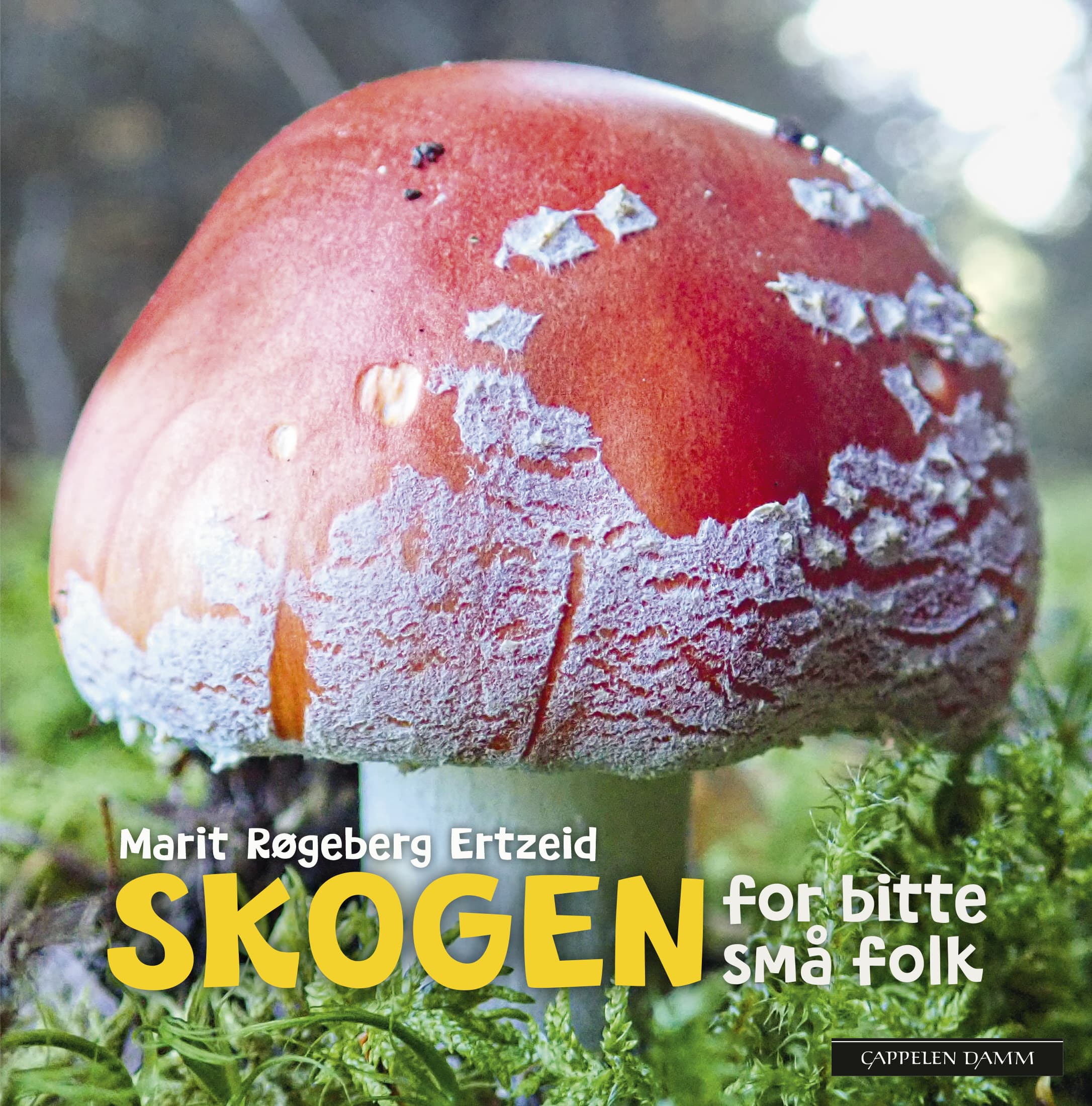 Omslag Skogen for bitte små folk av Marit Røgeberg Ertzeid (Pappbok)
