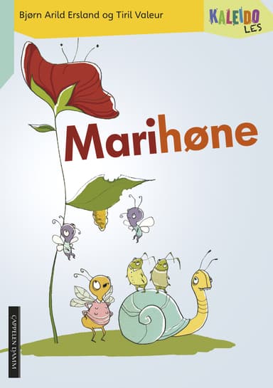 Kaleido Les Nivå 3 Marihøne