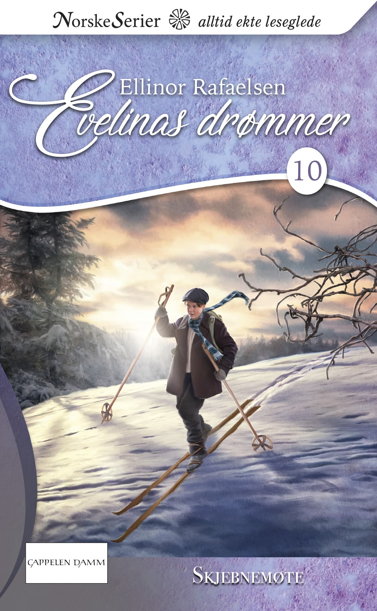 Omslag Skjebnemøte av Ellinor Rafaelsen (Ebok)