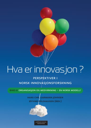 Hva er innovasjon? Perspektiver i norsk innovasjonsforskning
