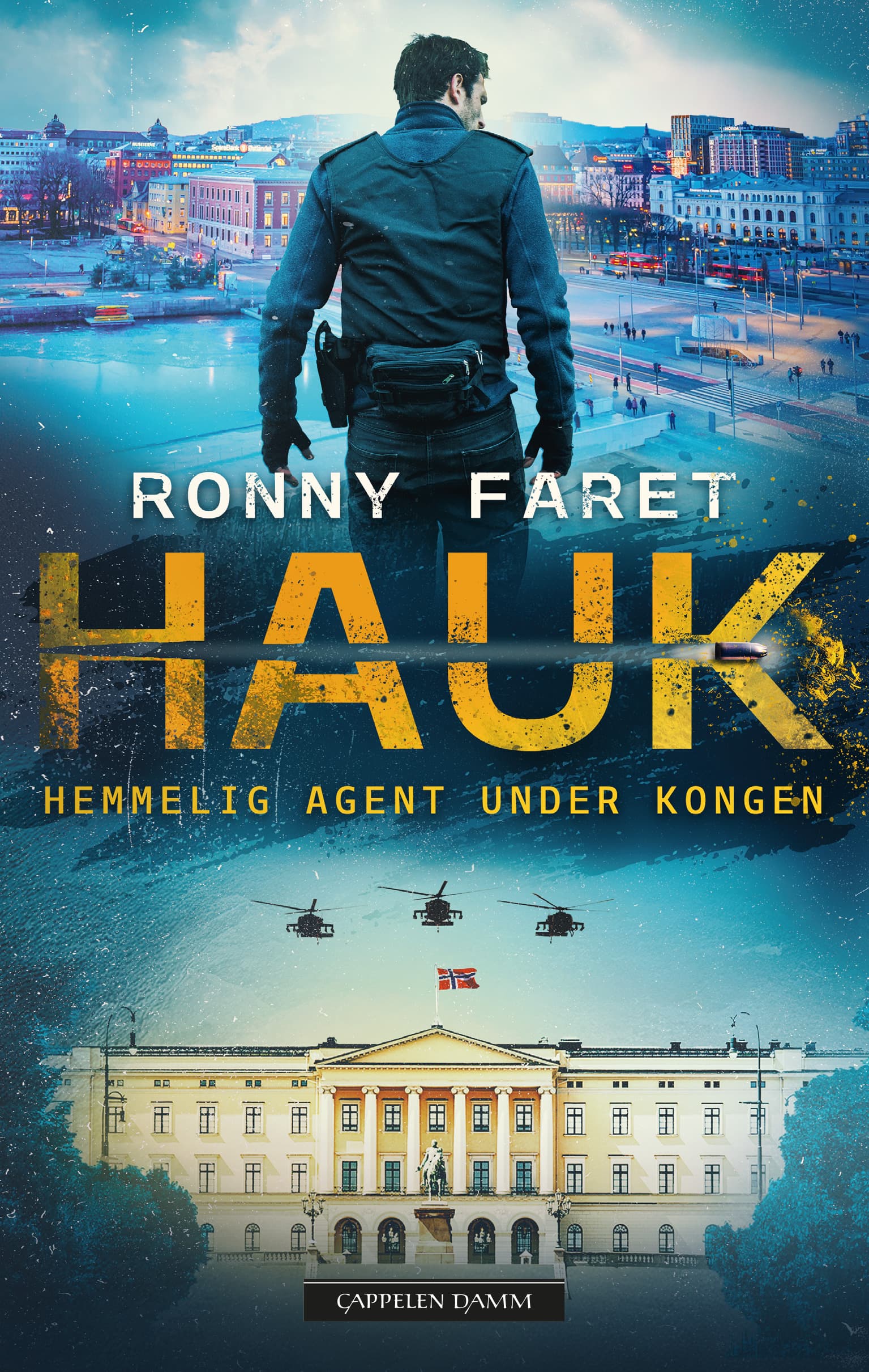 Omslag HAUK av Ronny Faret (Ebok)
