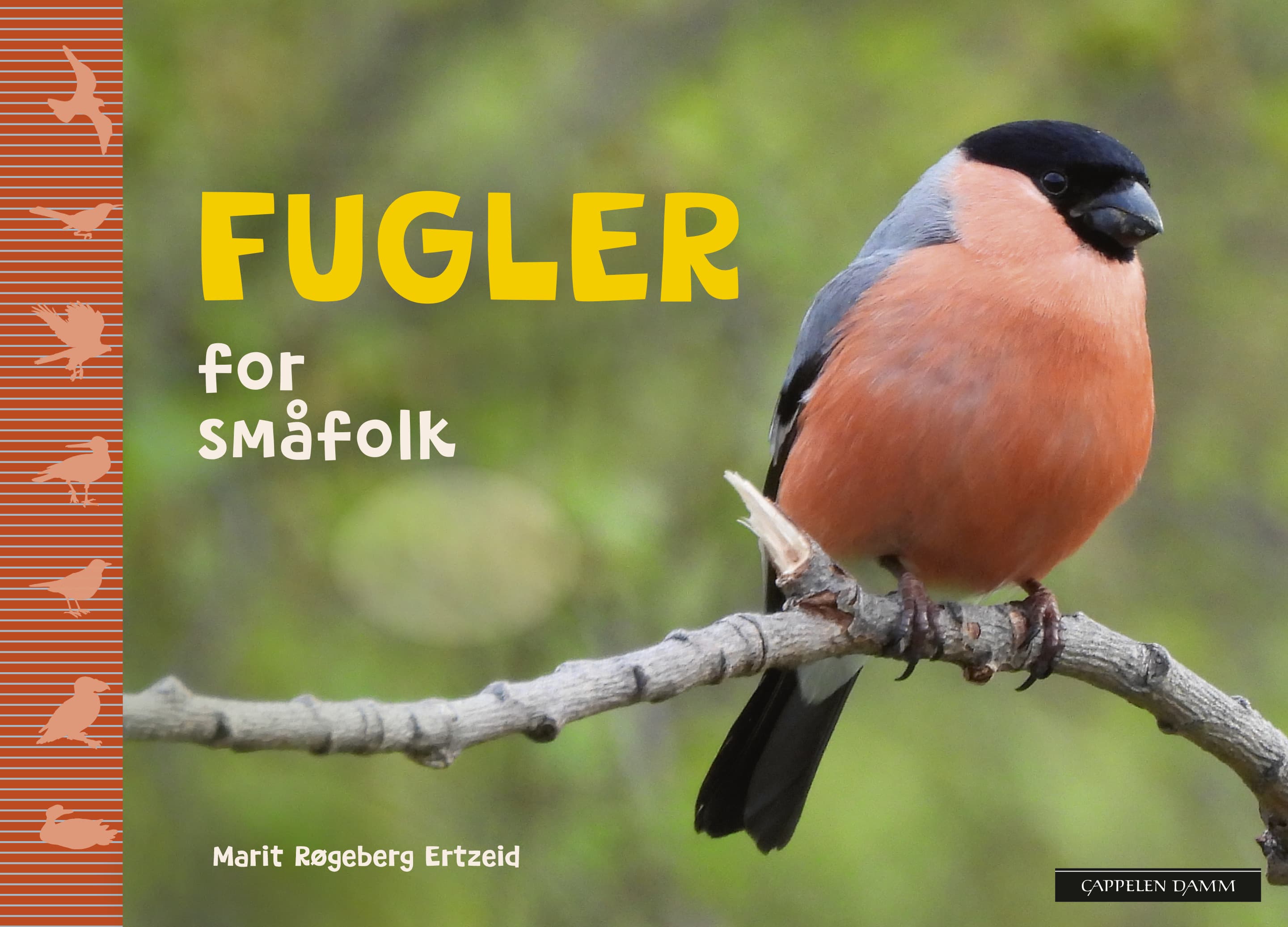 Omslag Fugler for småfolk av Marit Røgeberg Ertzeid (Innbundet)