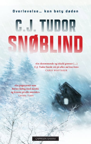 Omslag av "Snøblind"