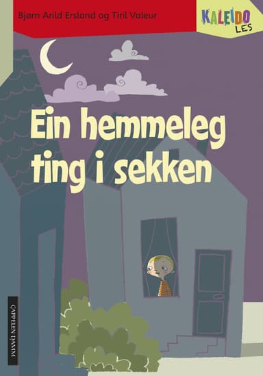 Kaleido Les Nivå 4 Ein hemmeleg ting i sekken