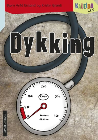 Kaleido Les Nivå 4 Dykking