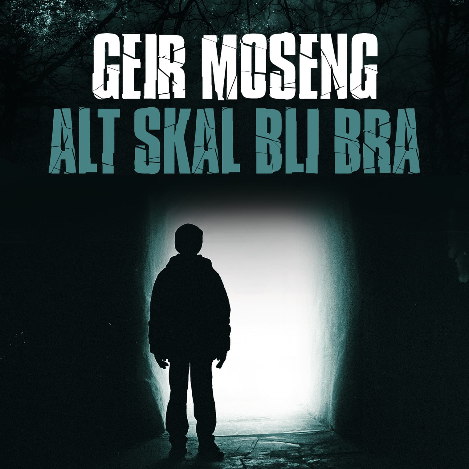 Omslag Alt skal bli bra av Geir Moseng (Lydbok)