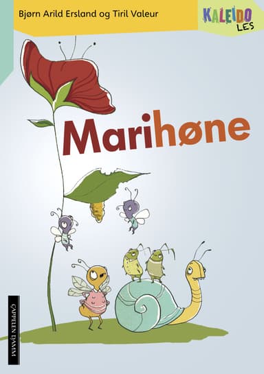 Kaleido Les Nivå 3 Marihøne