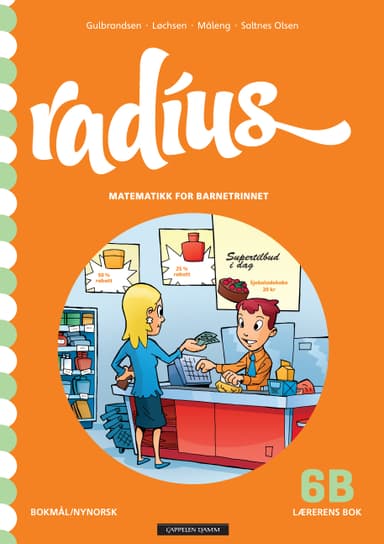 Radius 6B Lærerens bok