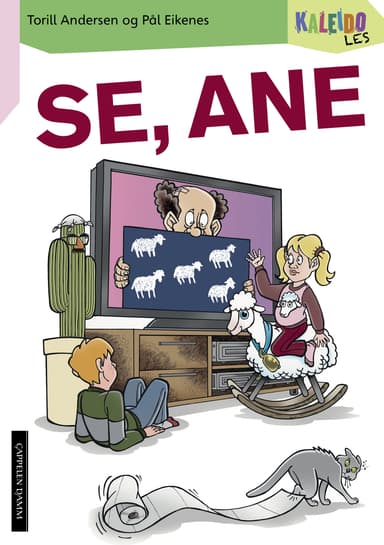 Kaleido Les Nivå 1 Se, Ane
