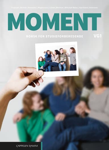 Moment vg1 (LK20)