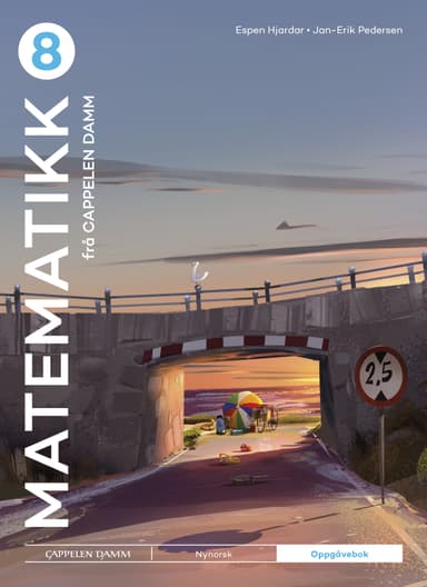 Matematikk 8 frå Cappelen Damm Oppgåvebok