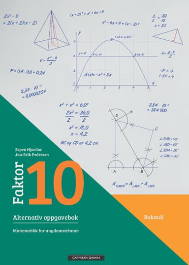 Faktor 10 Alternativ oppgavebok (e)