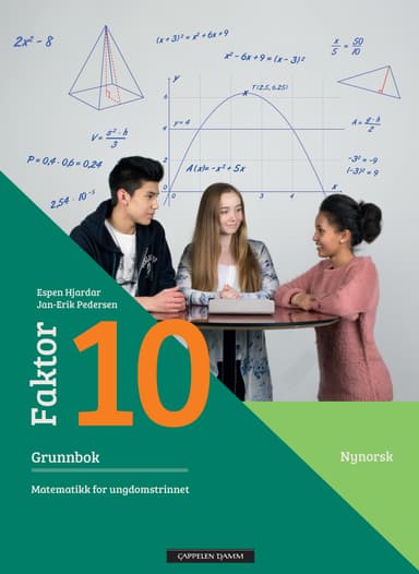 Faktor 10 Grunnbok