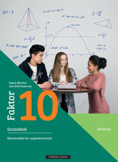 Faktor 10 Grunnbok