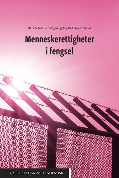 Menneskerettigheter i fengsel