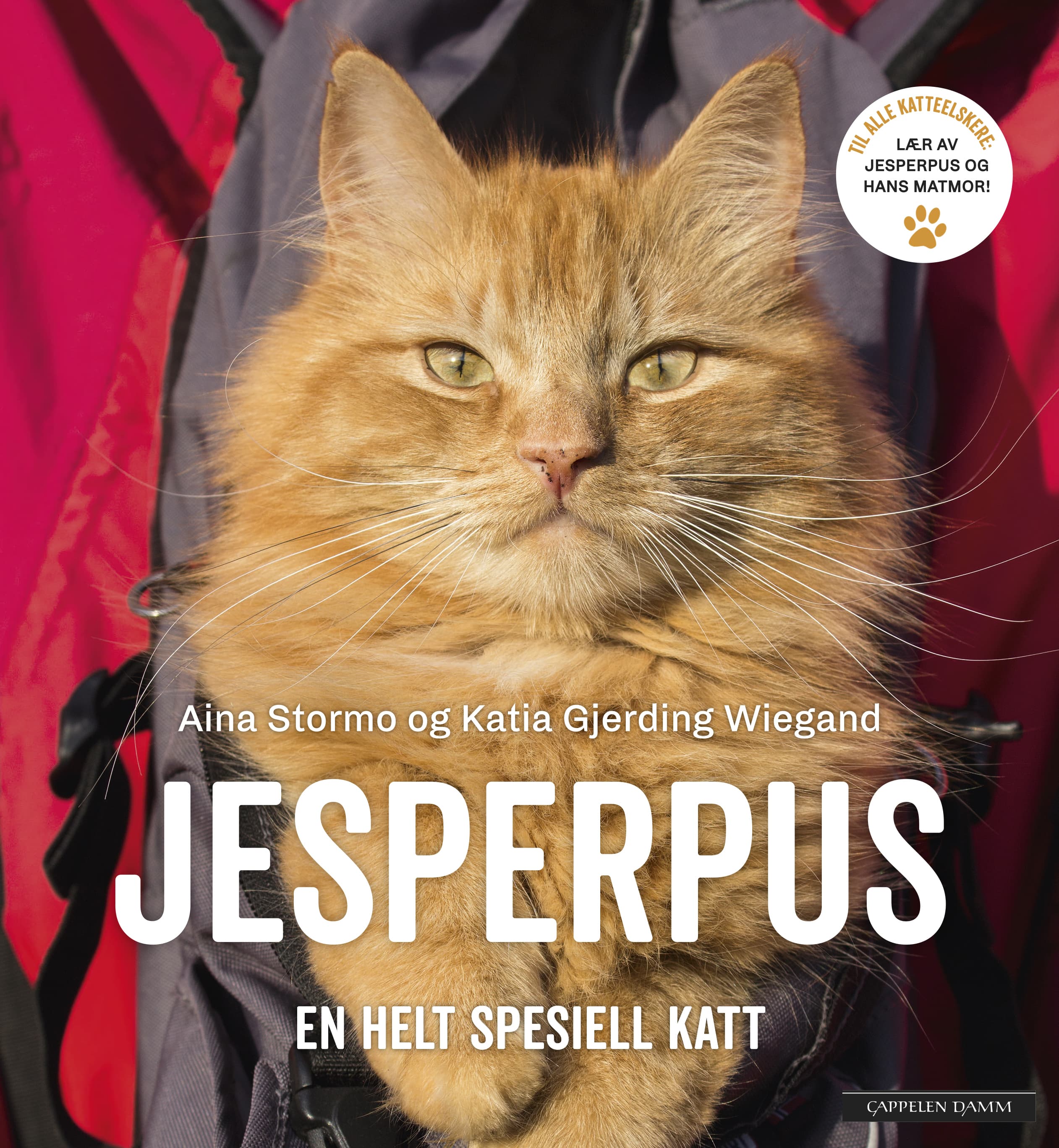 Omslag Jesperpus av Aina Stormo og Katia Gjerding Wiegand (Innbundet)