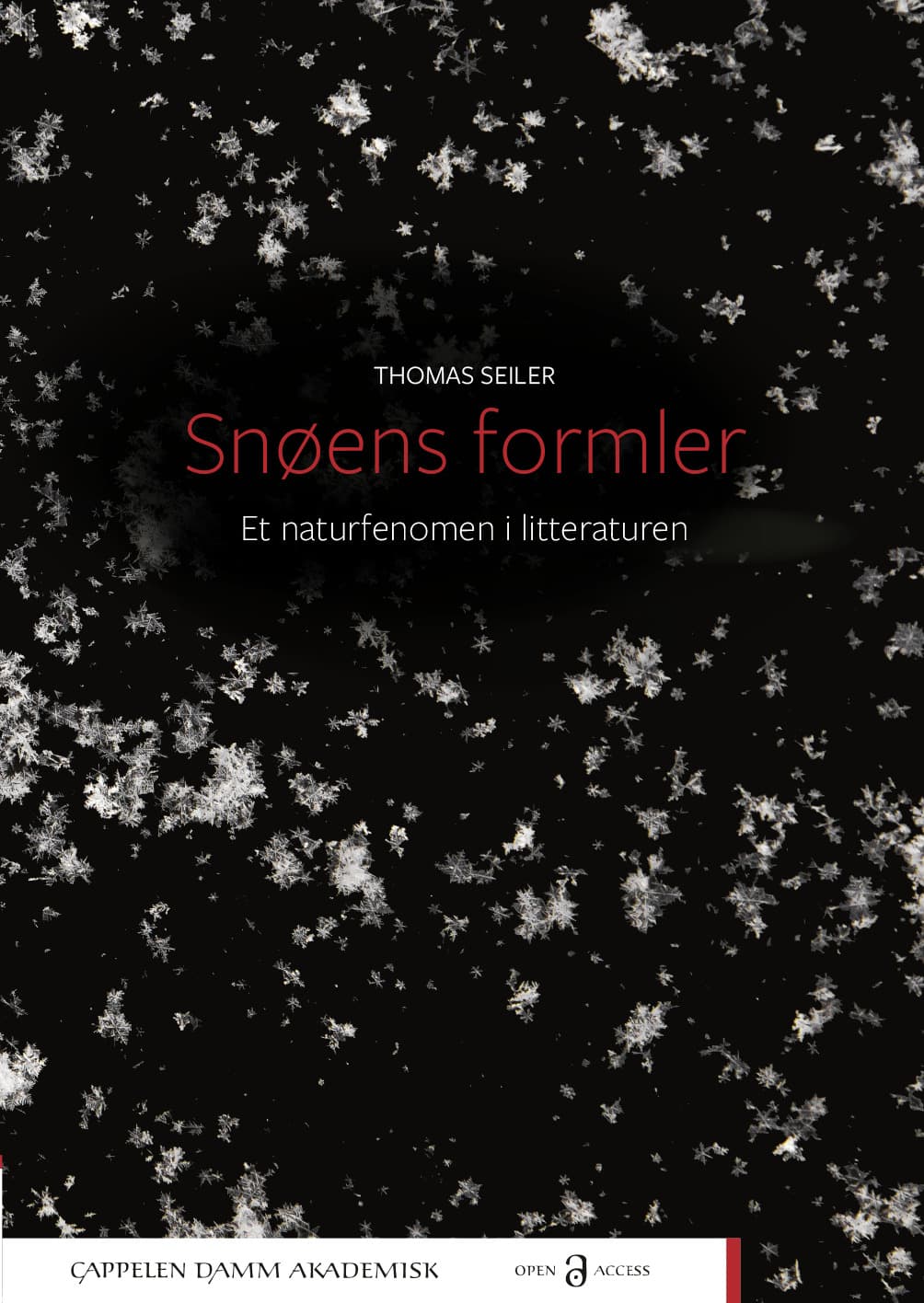 Omslag Snøens formler av Thomas Seiler (Heftet)
