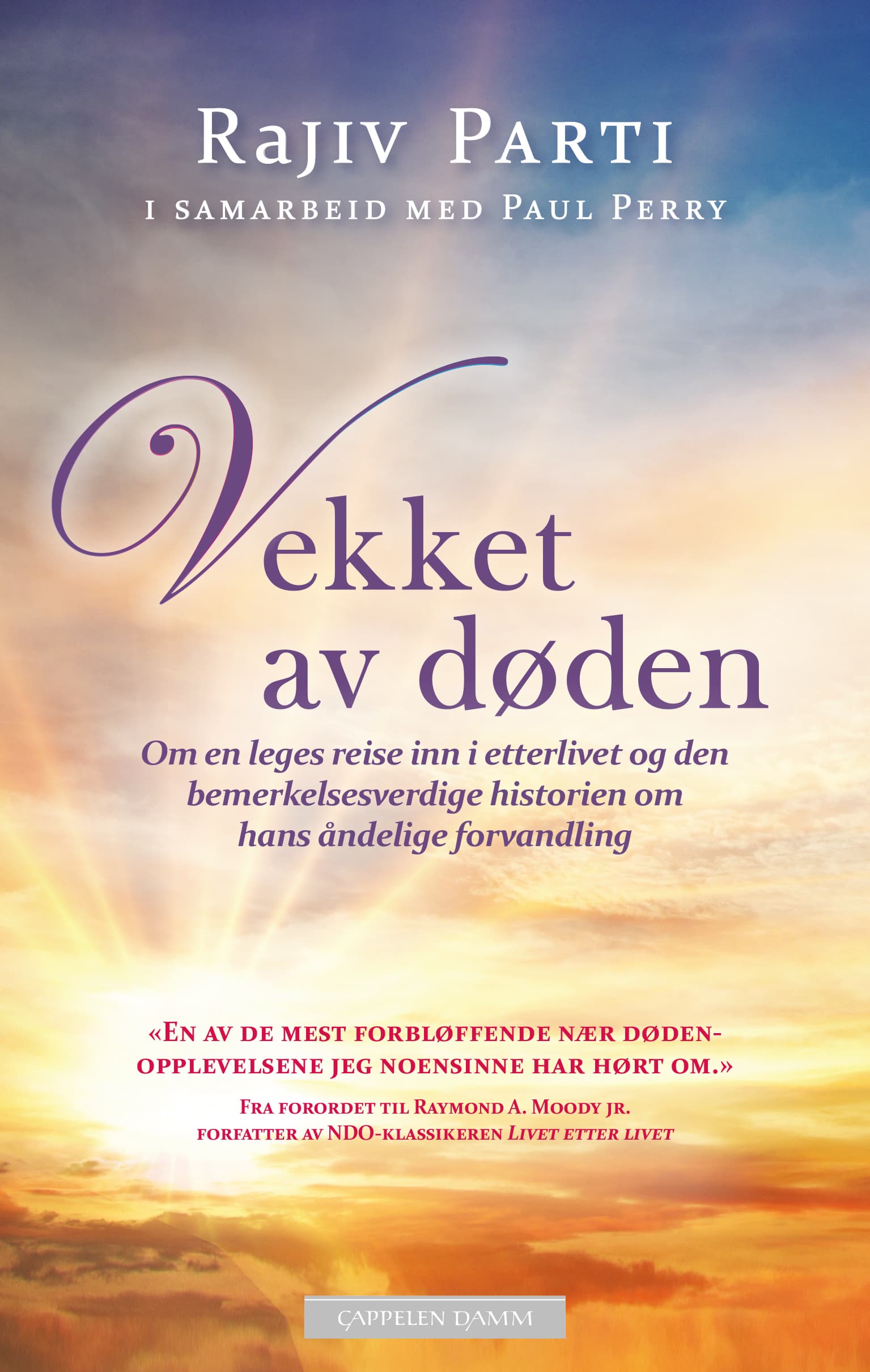 Omslag Vekket av døden av Rajiv Parti (Ebok)
