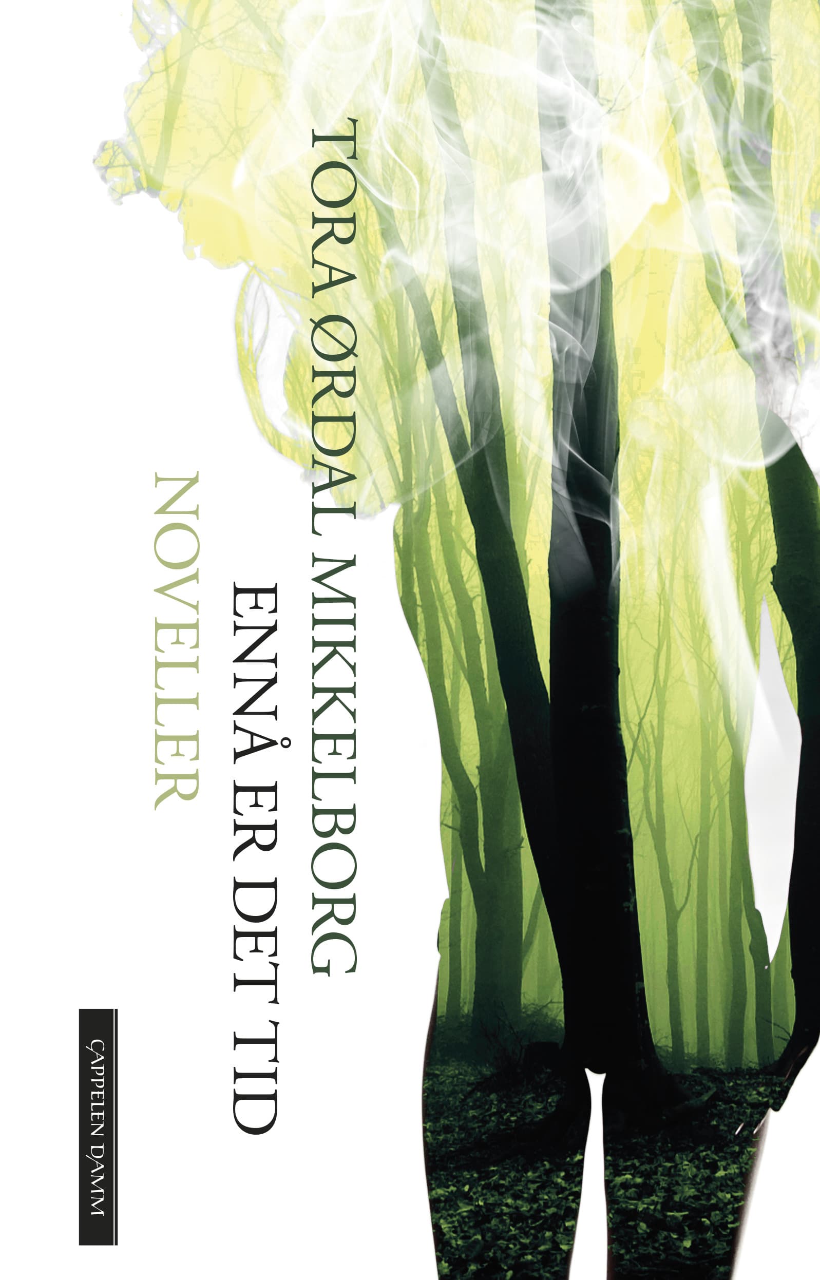 Omslag Ennå er det tid av Tora Ørdal Mikkelborg (Ebok)
