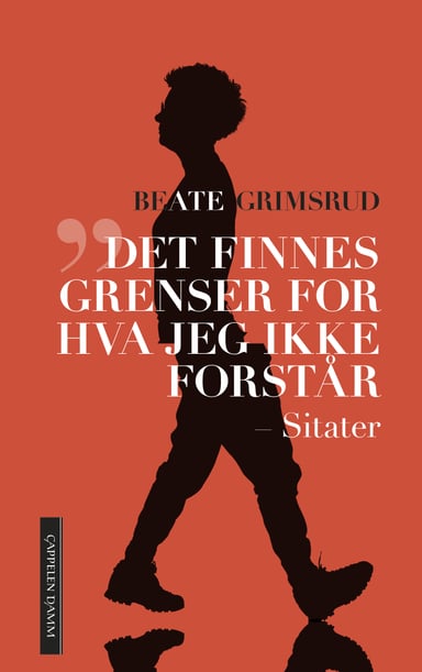 Omslag av "Det finnes grenser for hva jeg ikke forstår"