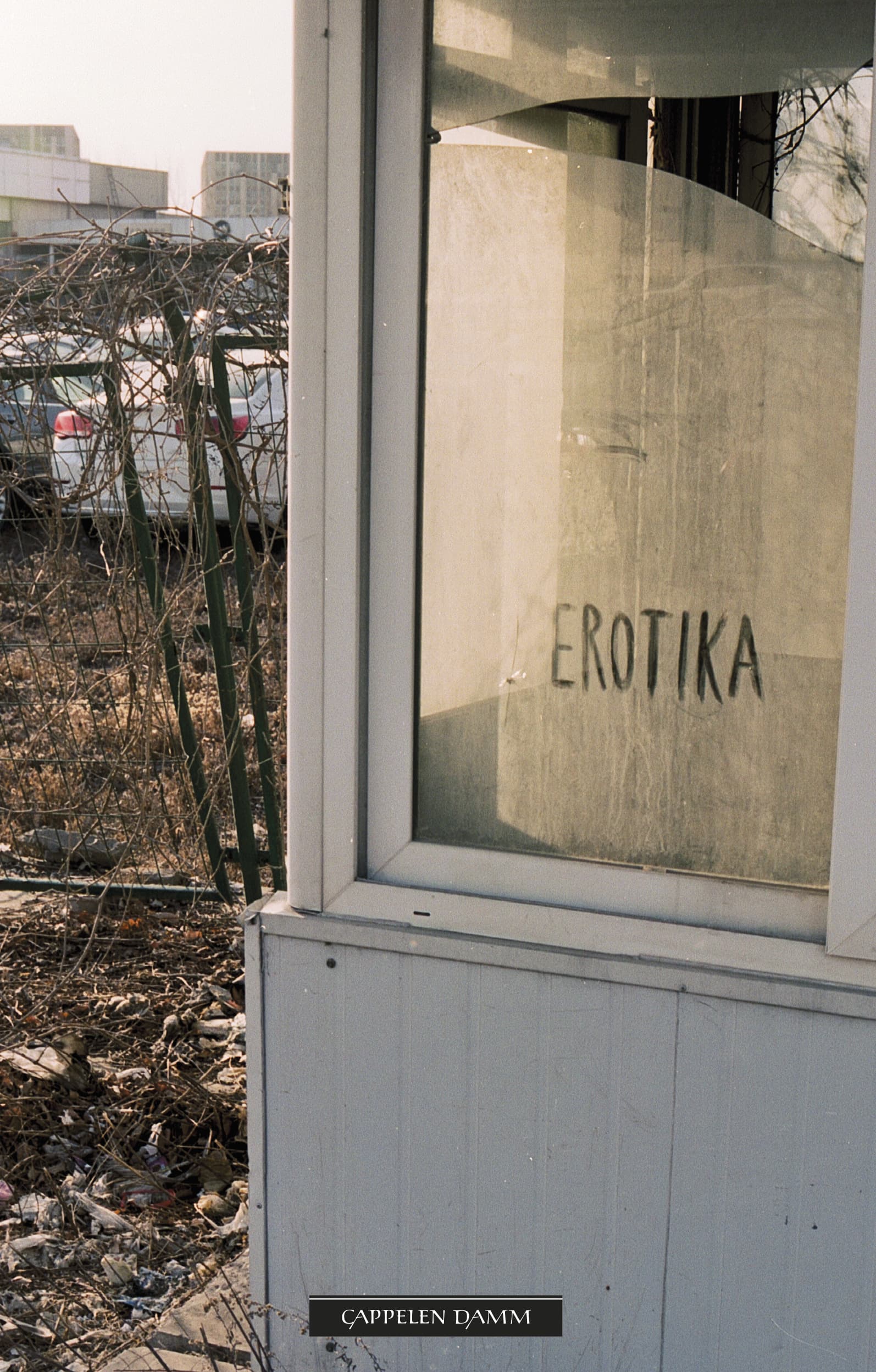 Omslag Erotika av Inger Wold Lund (Innbundet)