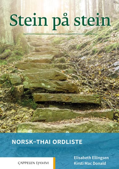 Stein på stein Norsk-thai ordliste (2021)
