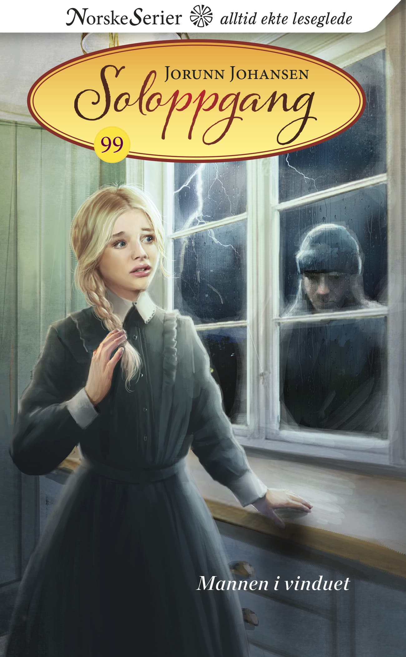 Omslag Mannen i vinduet av Jorunn Johansen (Ebok)