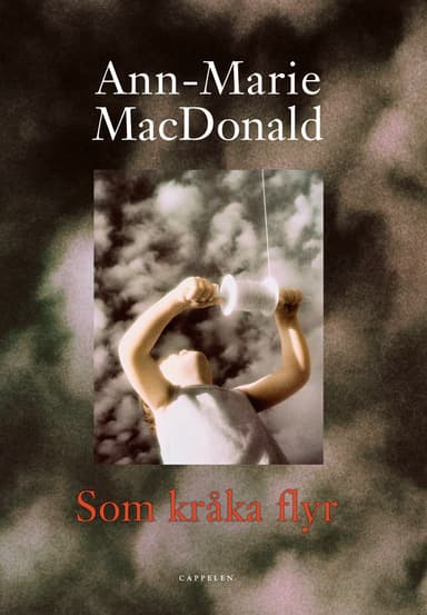 Som kråka flyr