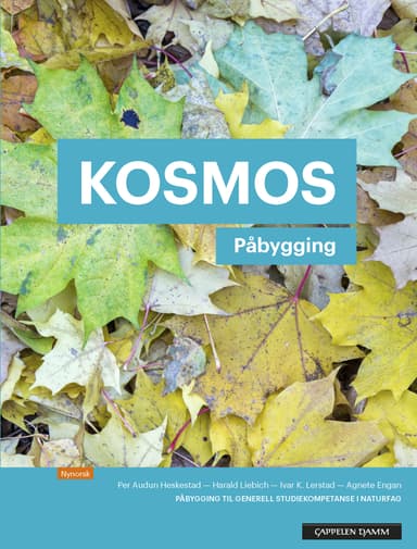 Kosmos Påbygging Lærebok (2018)
