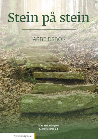 Stein på stein Arbeidsbok