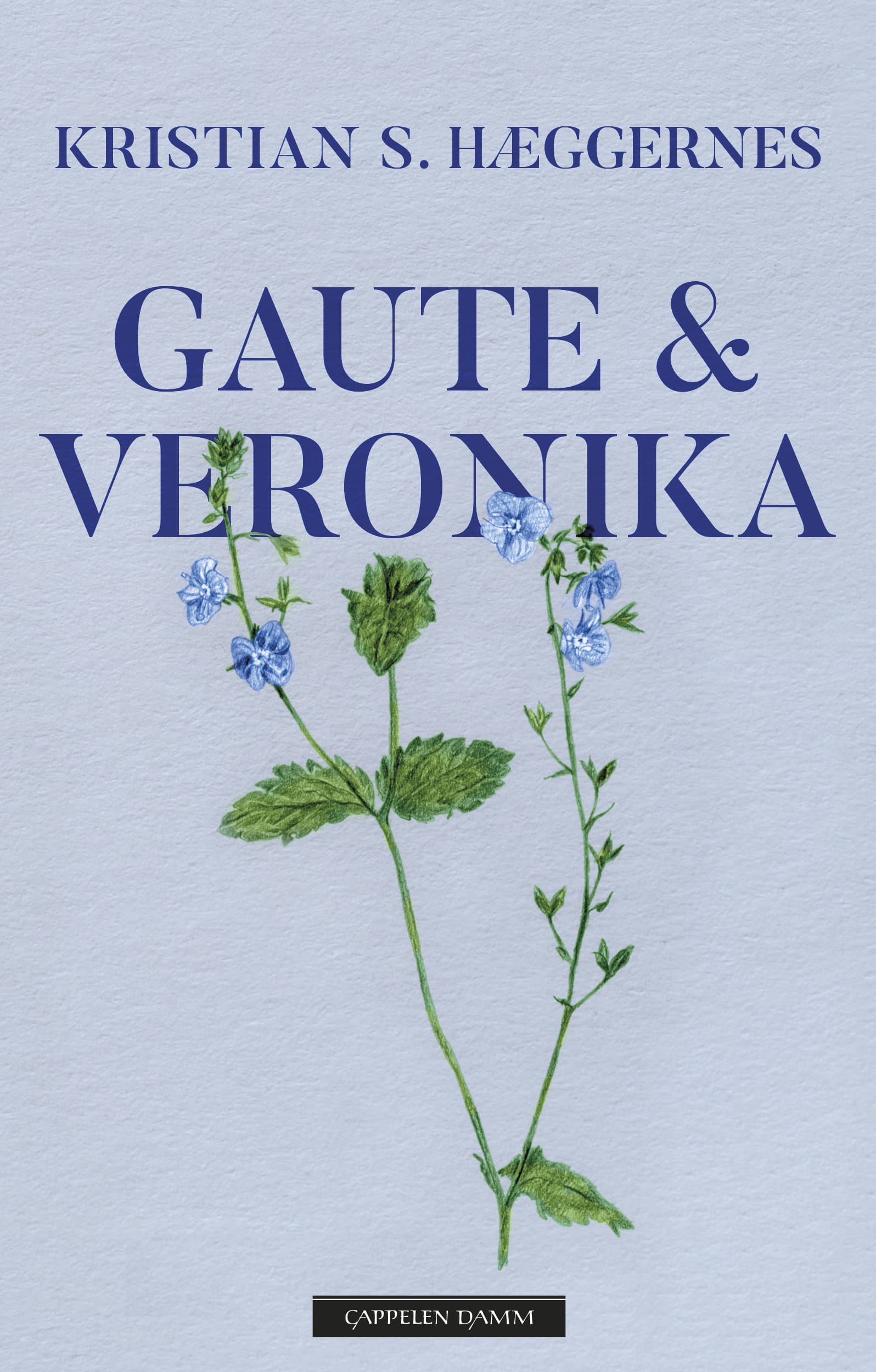 Omslag Gaute & Veronika av Kristian S. Hæggernes (Innbundet)