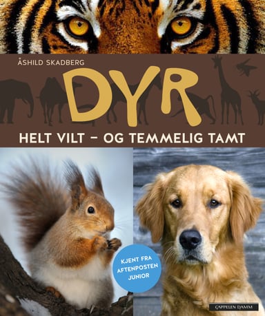Omslag av "Dyr"