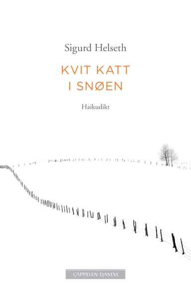 Kvit katt i snøen