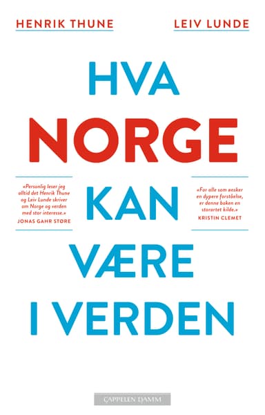 Hva Norge kan være i verden