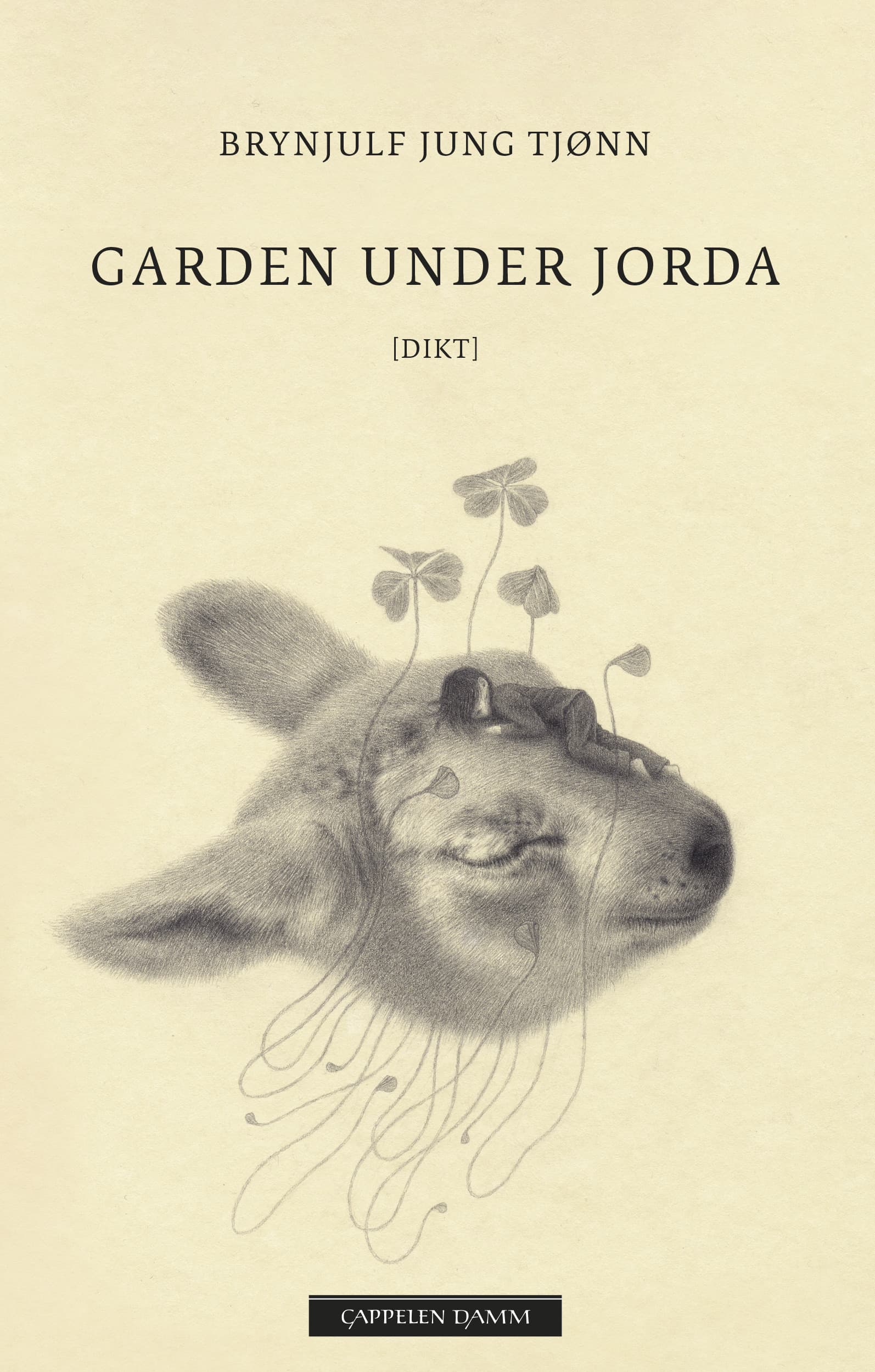 Omslag Garden under jorda av Brynjulf Jung Tjønn (Innbundet)