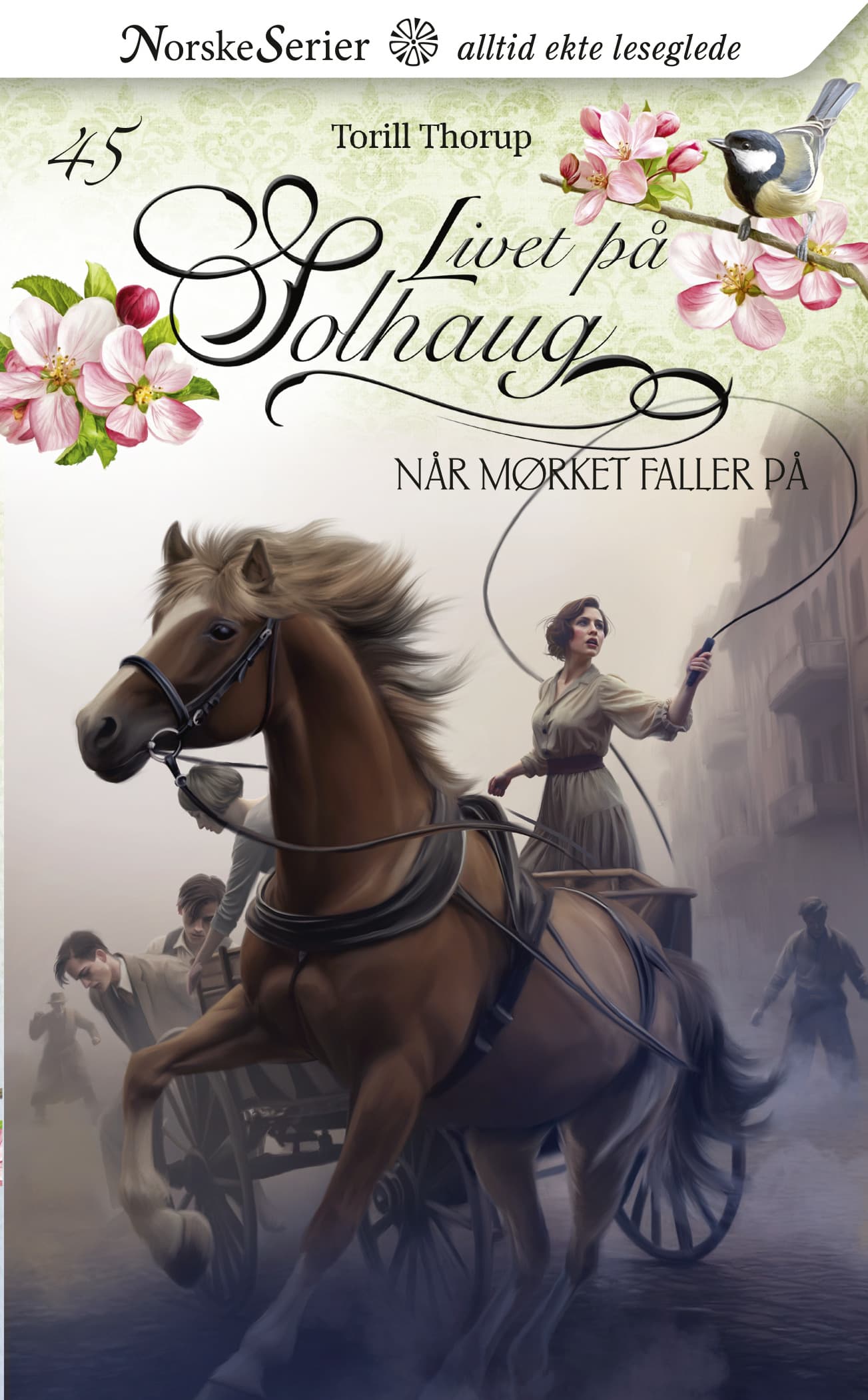 Omslag Når mørket faller på av Torill Thorup (Heftet)