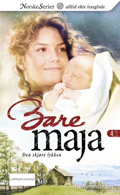Omslag av "Den skjøre lykken"