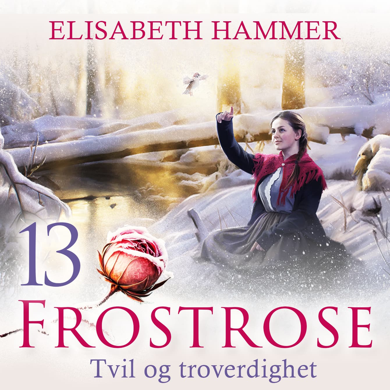 Omslag Tvil og troverdighet av Elisabeth Hammer (Lydbok)