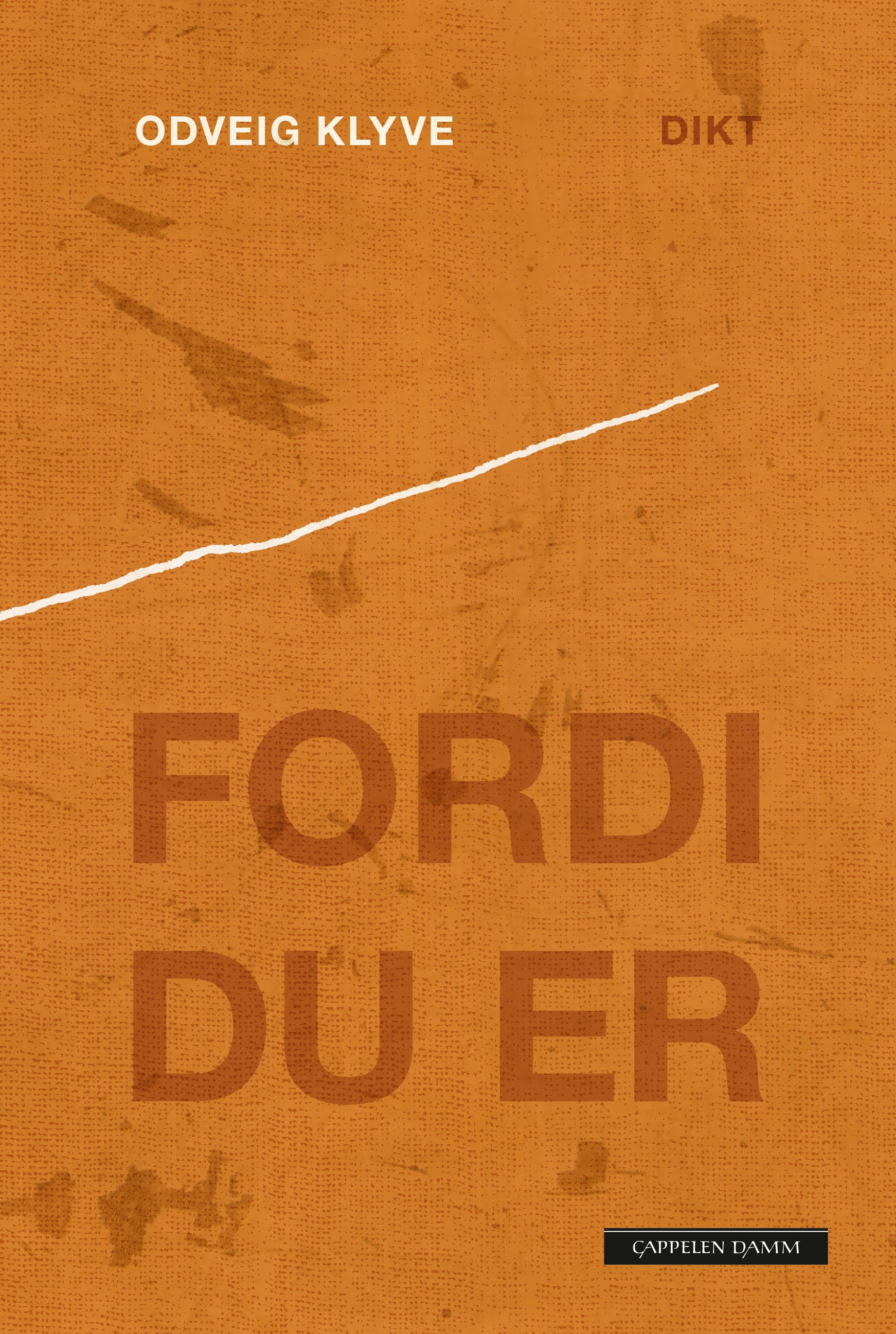 Omslag Fordi du er av Odveig Klyve (Ebok)
