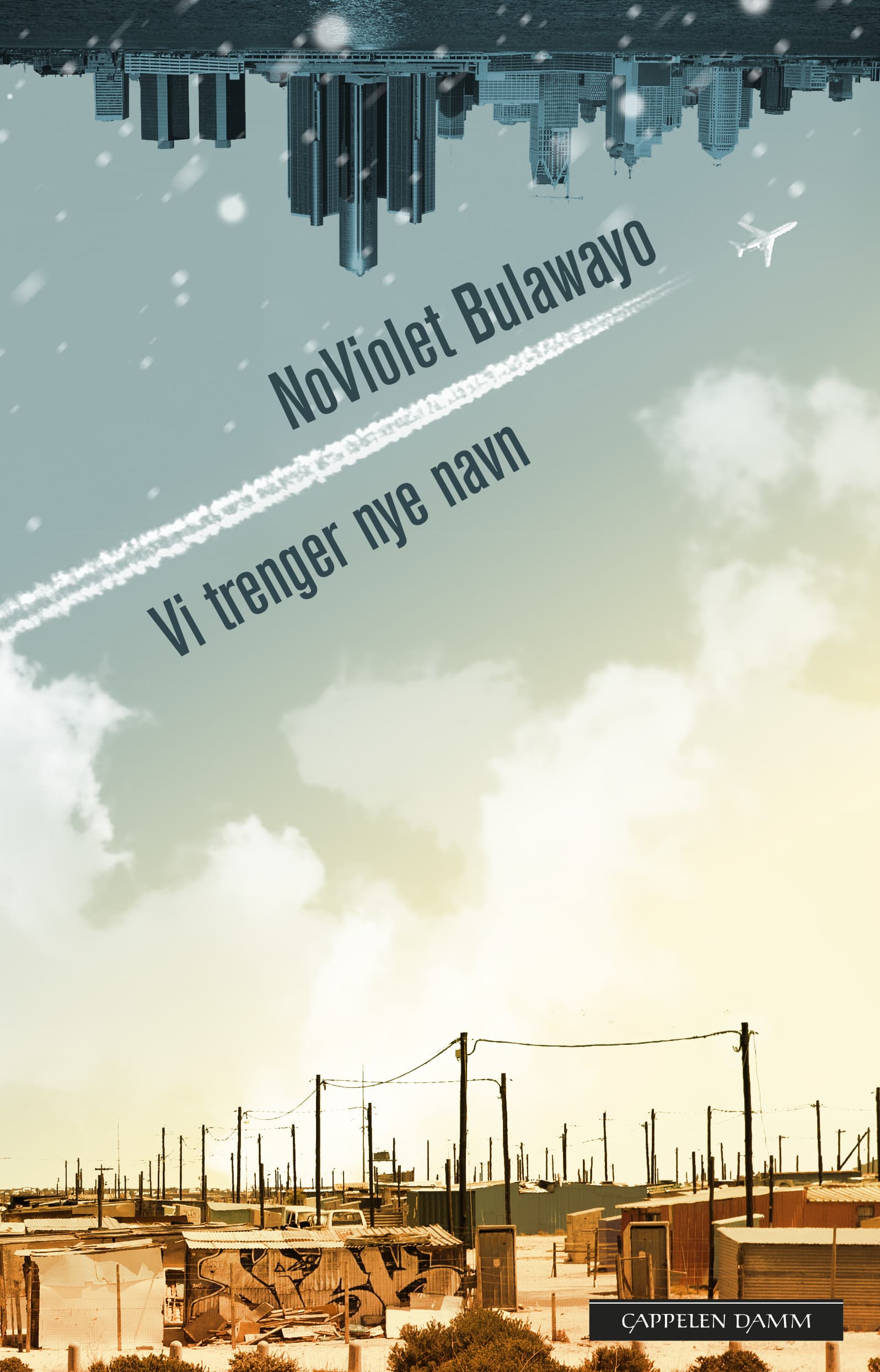 Omslag Vi trenger nye navn av NoViolet Bulawayo (Innbundet)