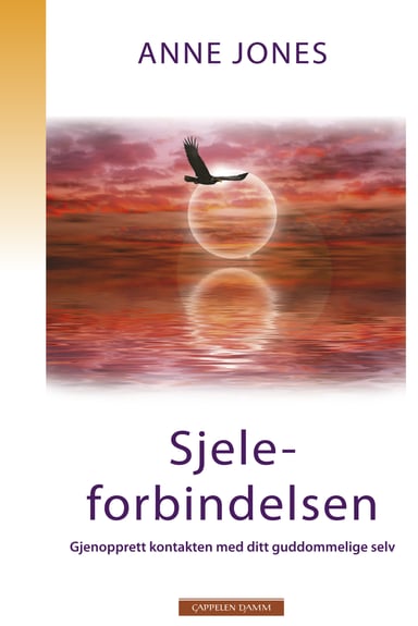 Omslag av "Sjeleforbindelsen"