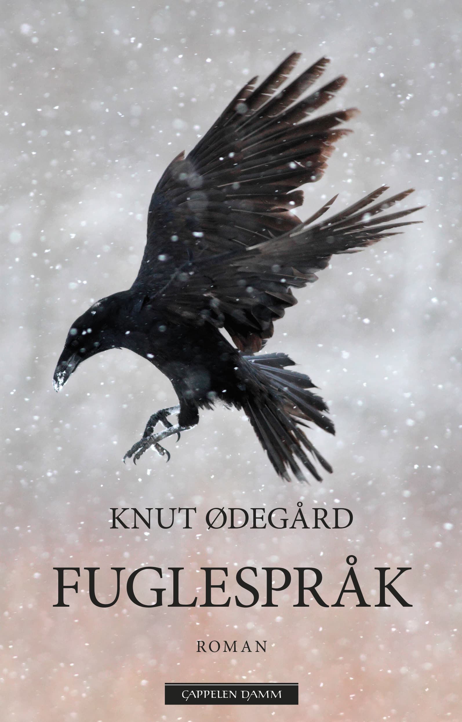 Omslag Fuglespråk av Knut Ødegård (Innbundet)