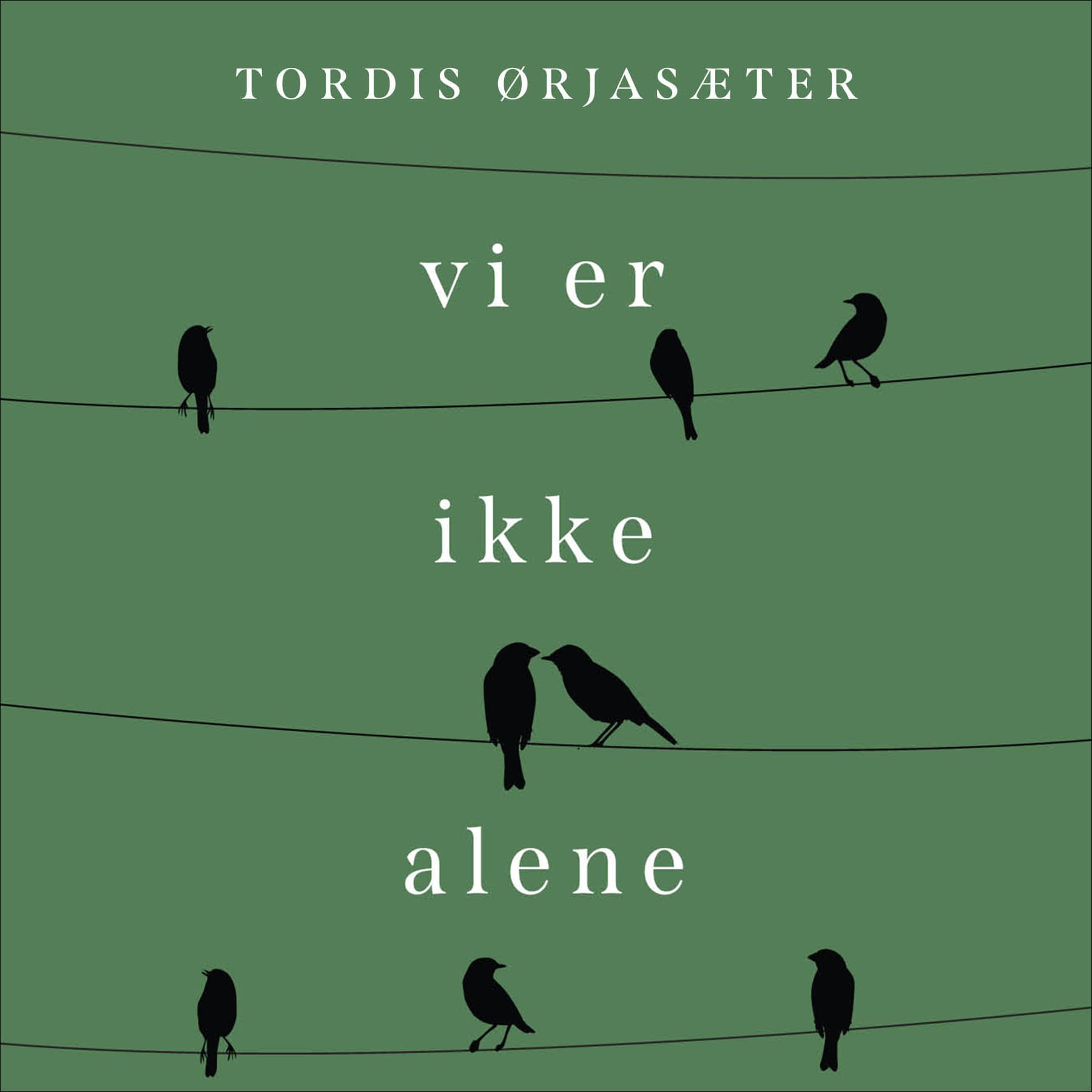 Omslag Vi er ikke alene - En personlig historie om annerledesbarnet i litteraturen av Tordis Ørjasæter (Lydbok)