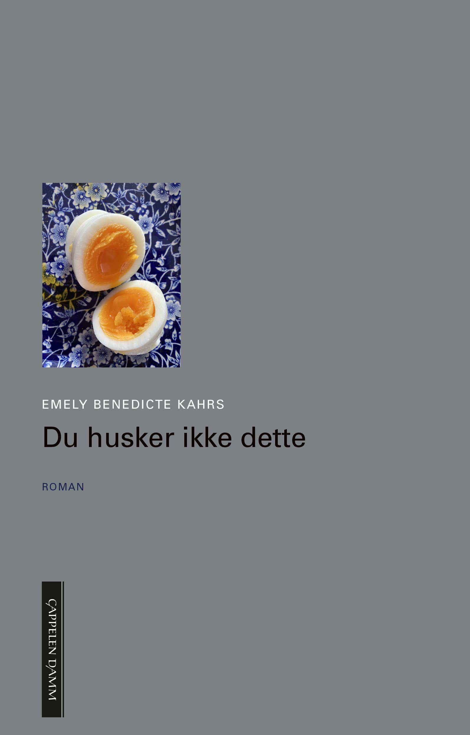 Omslag Du husker ikke dette av Emely Benedicte Kahrs (Ebok)