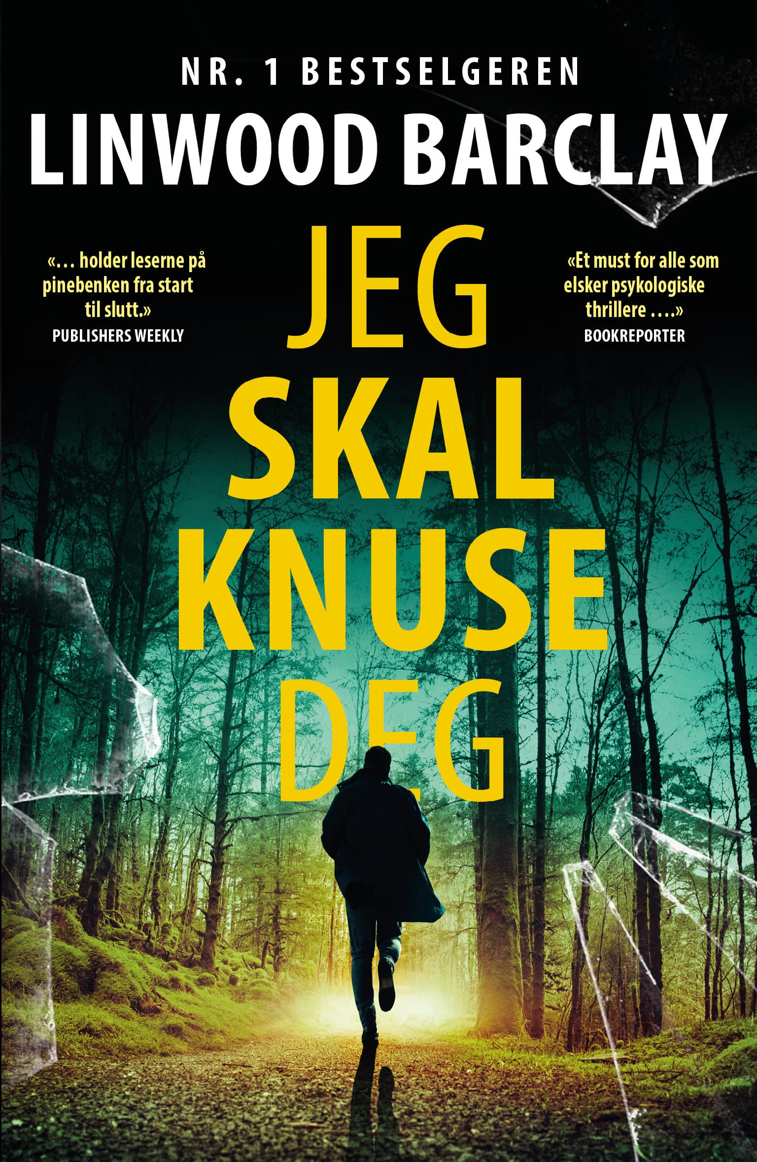 Omslag Jeg skal knuse deg av Linwood Barclay (Ebok)