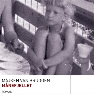 Omslag av "Månefjellet"