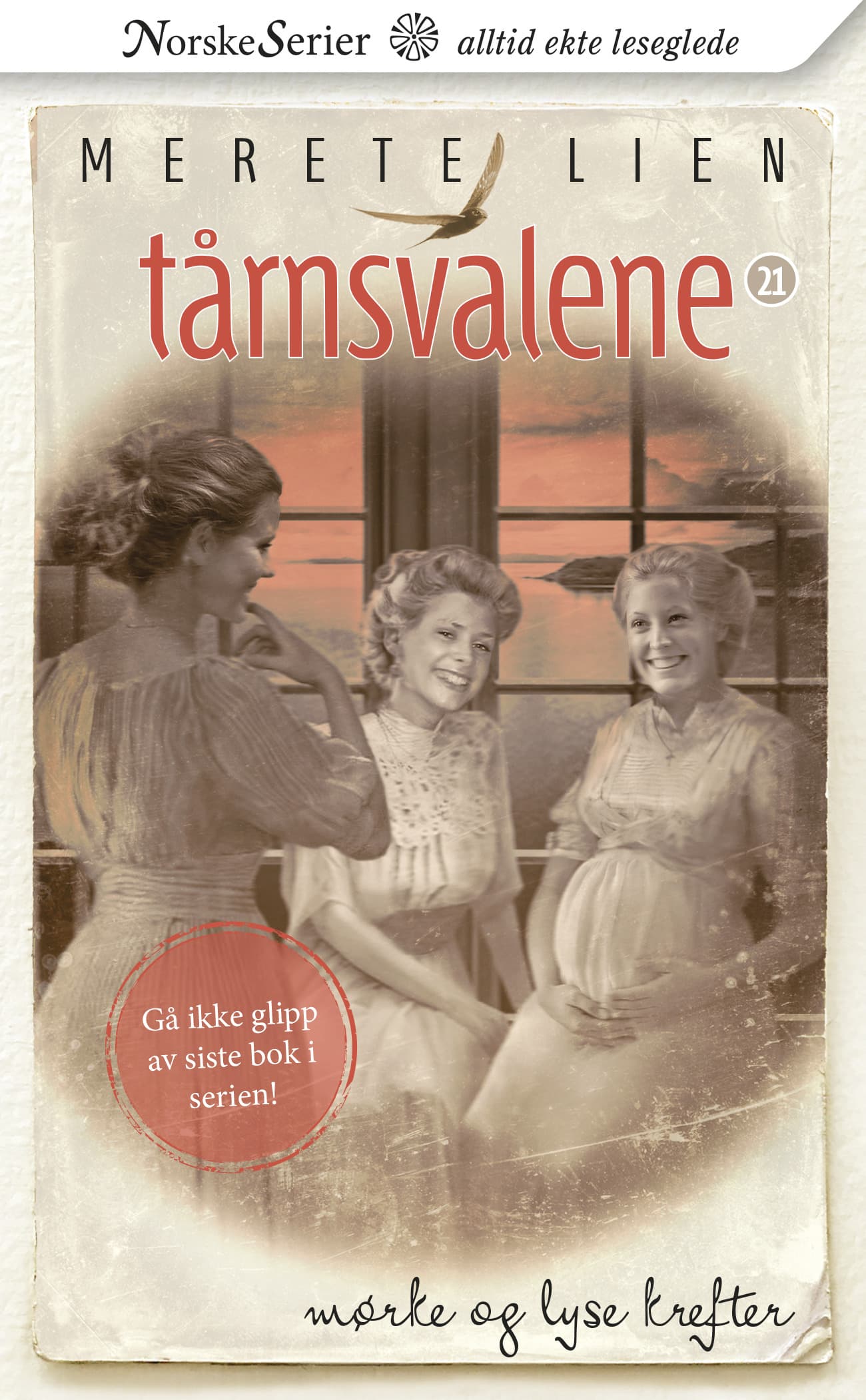 Omslag Mørke og lyse krefter av Merete Lien (Ebok)